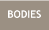 BODIES